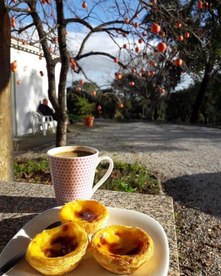 Quinta Da Barroquinha Guest House Vale de Prazeres Exterior photo